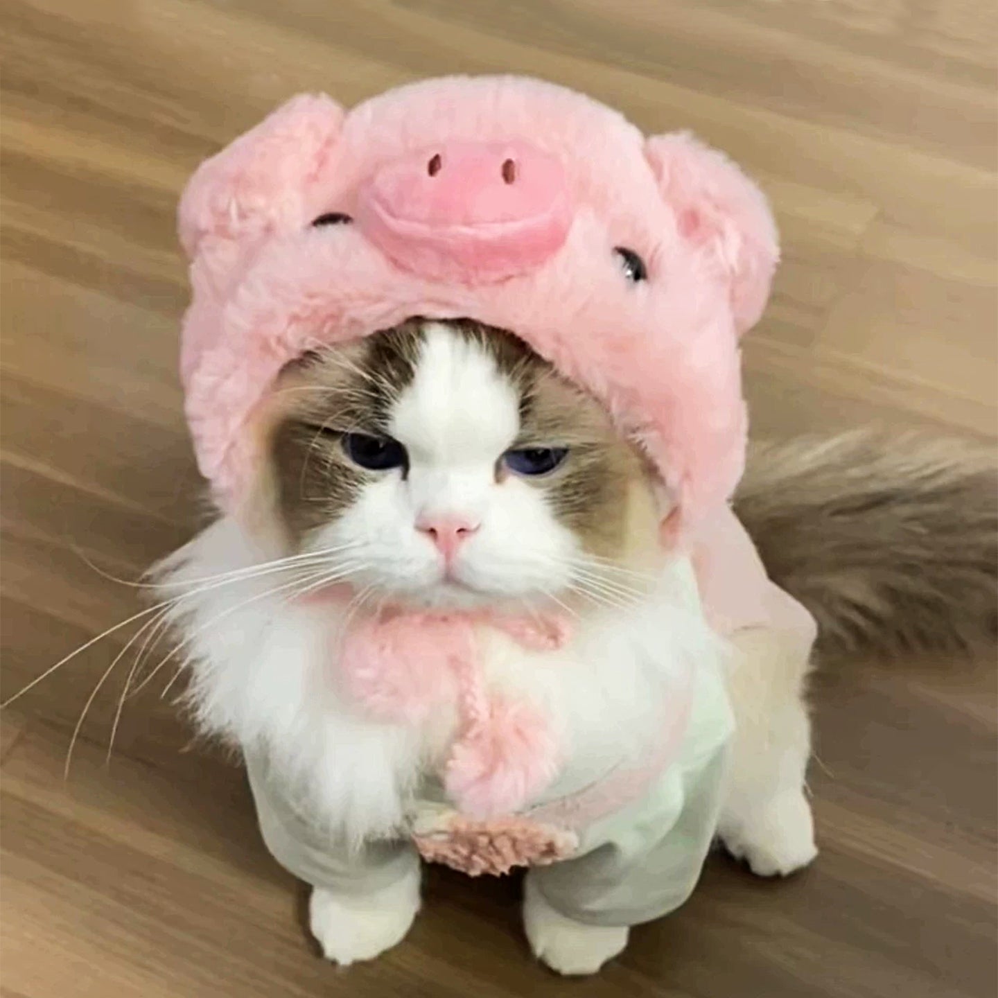 Cute Funny Pet Hats, Cartoon Costume Headwear for Cats & Dogs
