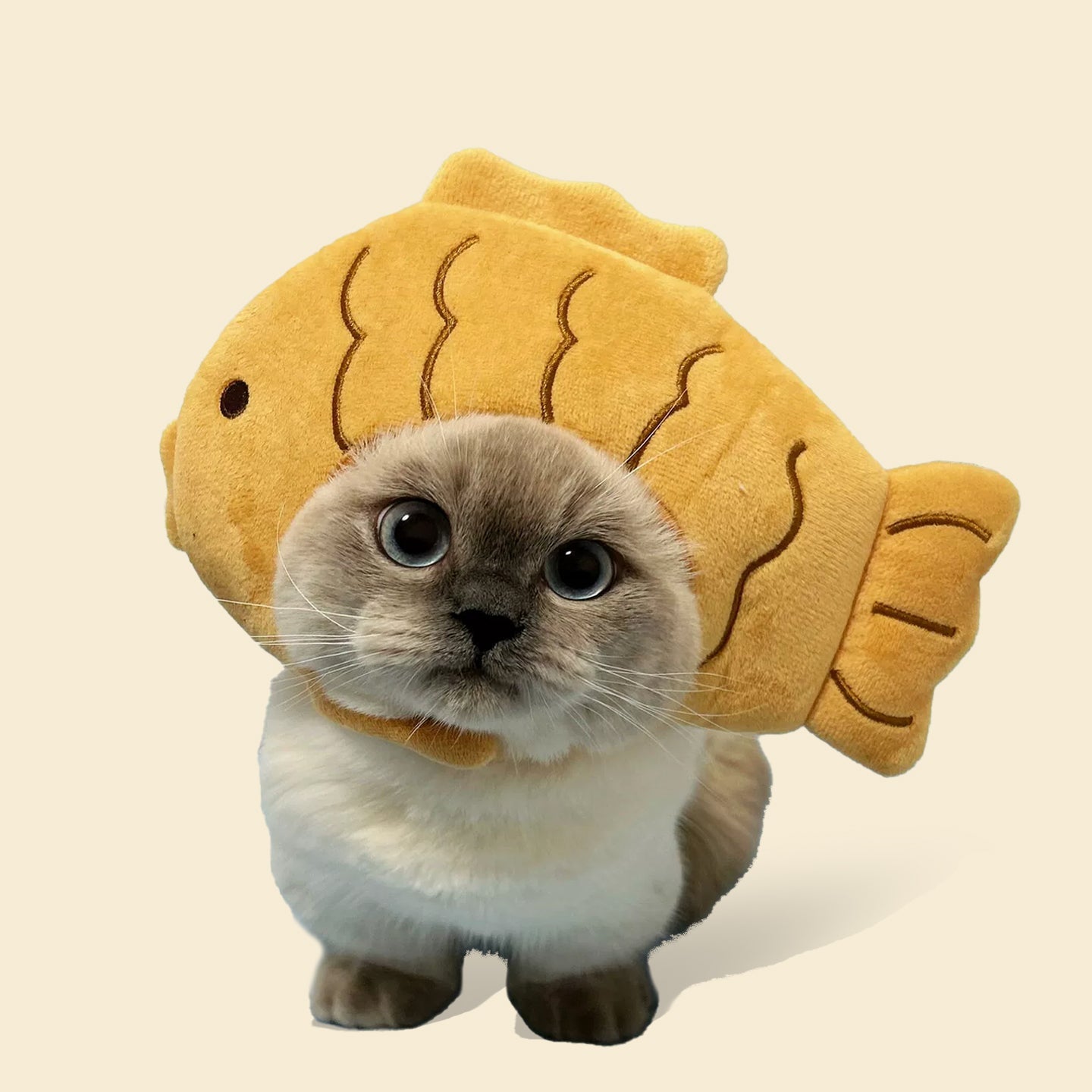 Cute Funny Pet Hats, Cartoon Costume Headwear for Cats & Dogs