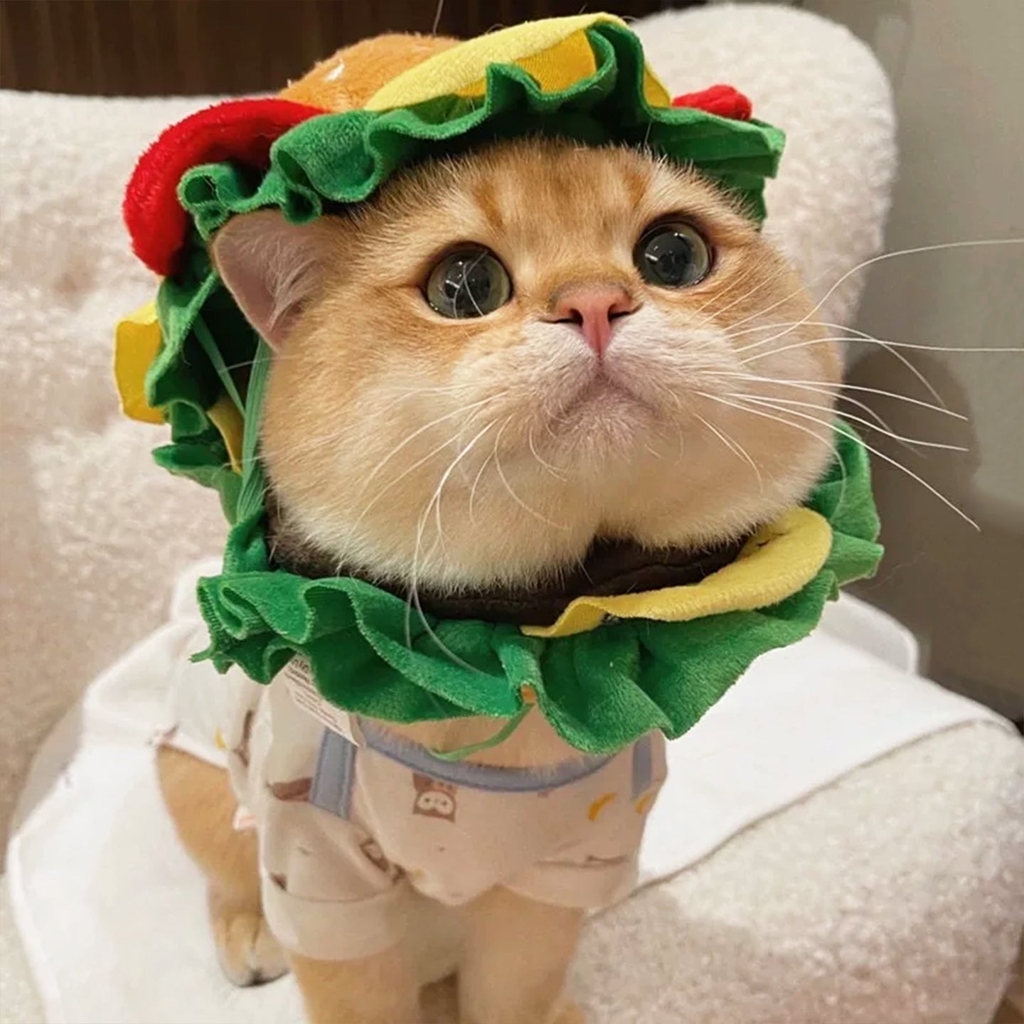 Cute Funny Pet Hats, Cartoon Costume Headwear for Cats & Dogs