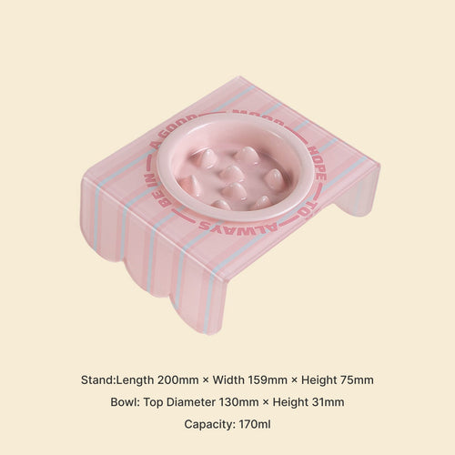 Ceramic Slow Feeder Bowl for Cats & Dogs